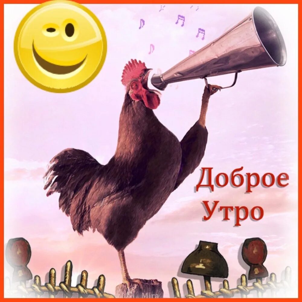 Картинки с добрым утром анимация смешные прикольные. Открытки с добрым утром прикольные. гифы с добрым утром прикольные. анимация с добрым утром прикольные. открытки с добрым утром шуточные.
