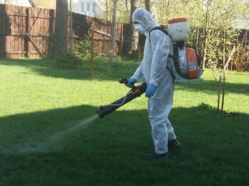 Уничтожение клещей на участке. Россия украина буча. Removing russians. Украина сносит памятники. Олимпийские игры в пекине 2022 керлинг.