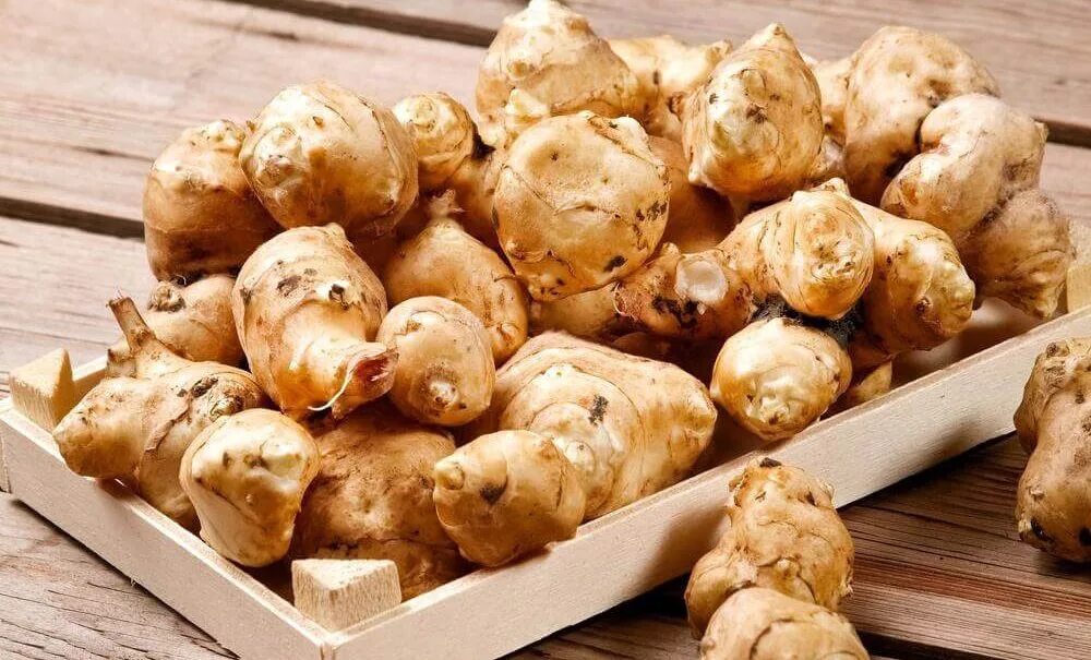 Земляная груша топинамбур. Топинамбур что. Земляная груша топинамбур. Земляной картофель топинамбур. Топинамбур скороспелка.