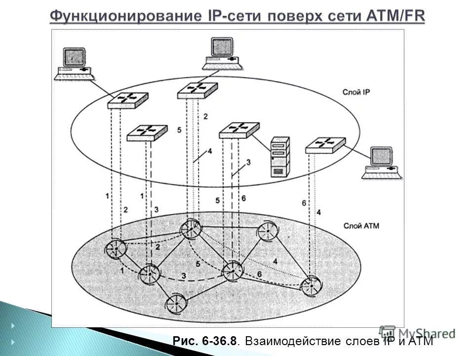 Виды протоколов передачи данных. Протоколы передачи данных в сети. Глобальная сеть сетевые протоколы. Протоколы локальных сетей. Ip сети.