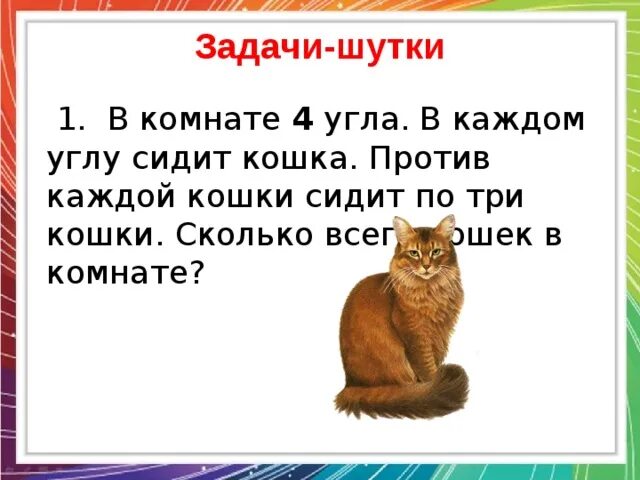 Придумать загадку про кошку 1 класс