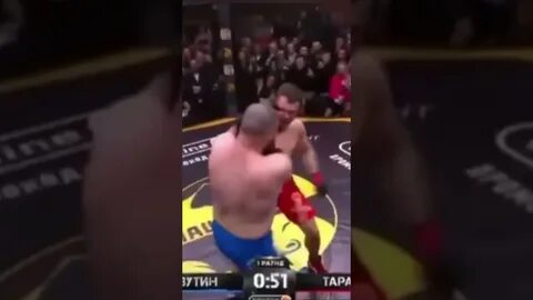 Лев против бой