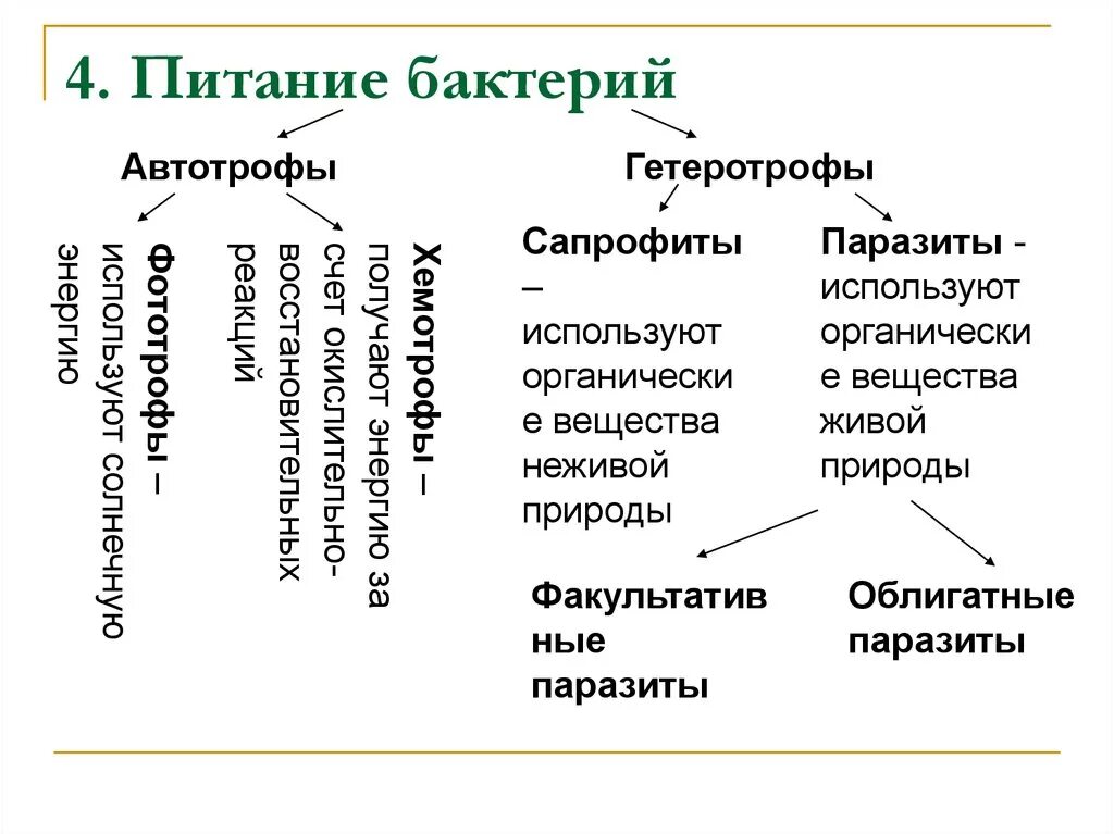 Какие различают бактерии по способу питания кратко. Классификация бактерий по типу питания. Схема питания бактерий. Питание бактерий микробиология схема. Питание бактерий автотрофы.