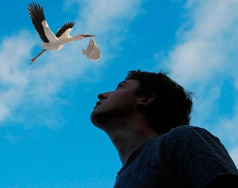 чтож ты вьешься над моею головой. чёрный ворон песня. чтож ты вьешься над моею головой. ворон композиция. чтож ты вьешься над моею головой.