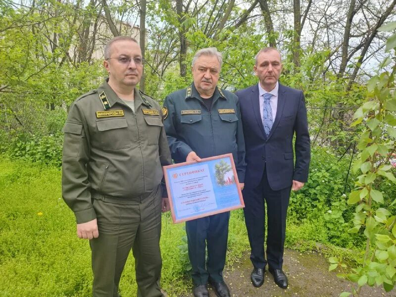 директор фбу рослесозащита. петр костенич длх. департамент лесного хозяйства дфо. департамент лесного хозяйства костромской области. морозов департамент лесного хозяйства по южному федеральному округу.