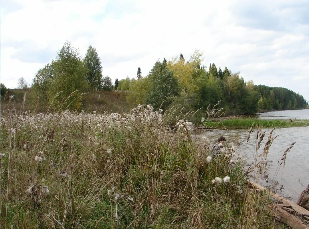 Гремяч черниговской. Село гремяч черниговская область. Гремяч черниговской. Гремяч черниговской. Гремяча пермский край.