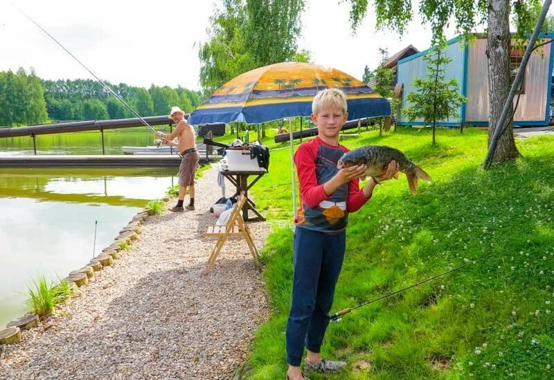 Fish point золотой сазан подольск. Рыбалка золотой сазан симферопольское шоссе. Золотой сазан на симферопольском шоссе. Платная рыбалка сазана. Золотой сазан, деревня бережки.