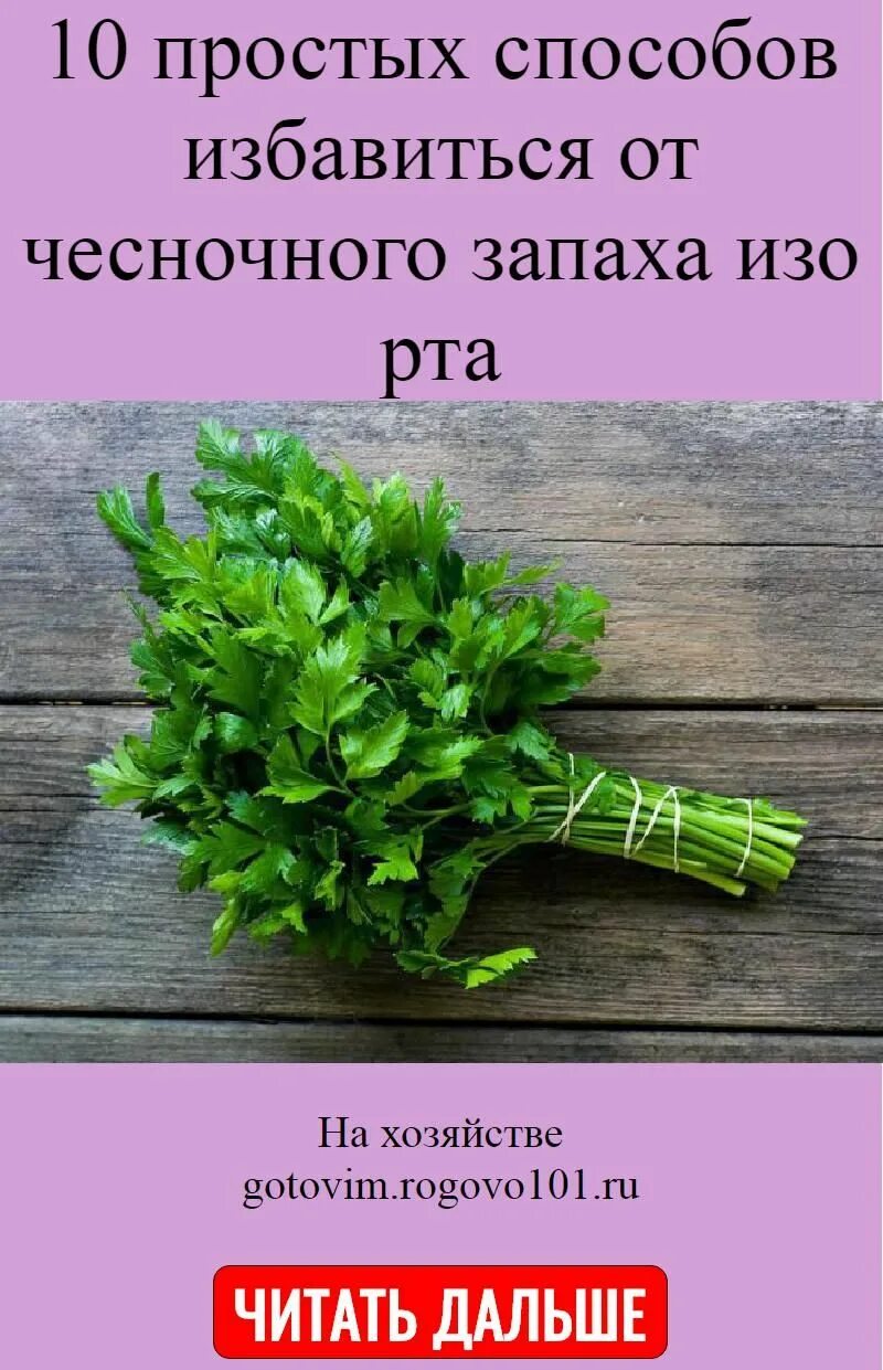 Как избавиться от чеснока во рту. Запах от чеснока во рту. Как избавиться от запаха чеснока изо рта быстро. Как избавиться от запаха чеснока изо рта быстро в домашних условиях. Из рта пахнет чесноком.