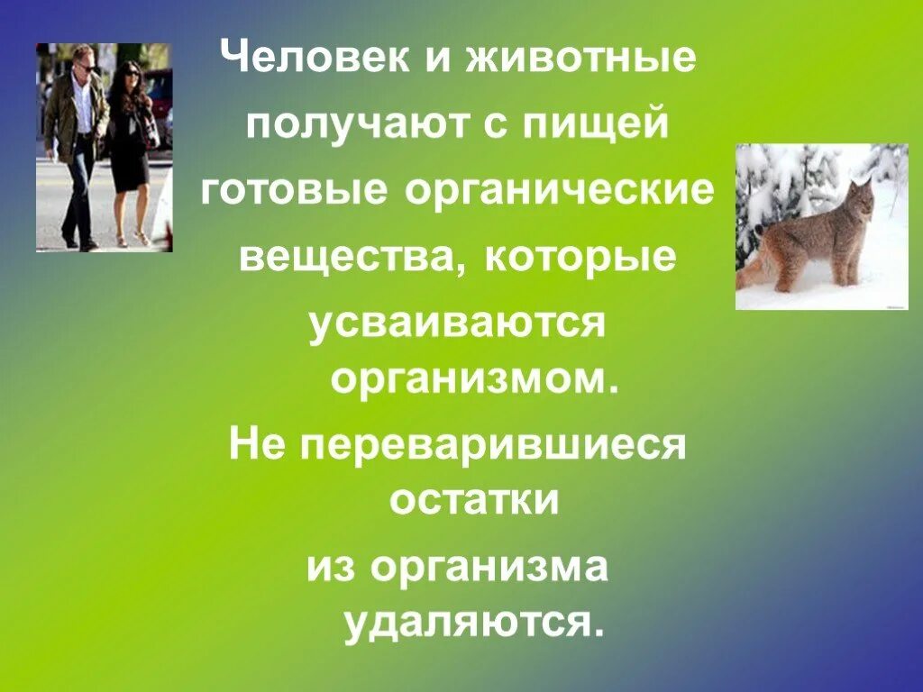 Сообщение люди и животные. Проект «животные и человек». питание животных и людей. какие вещества животные и человек получают с пищей. чего получают люди от животных.