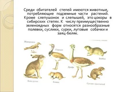 Среди обитателей