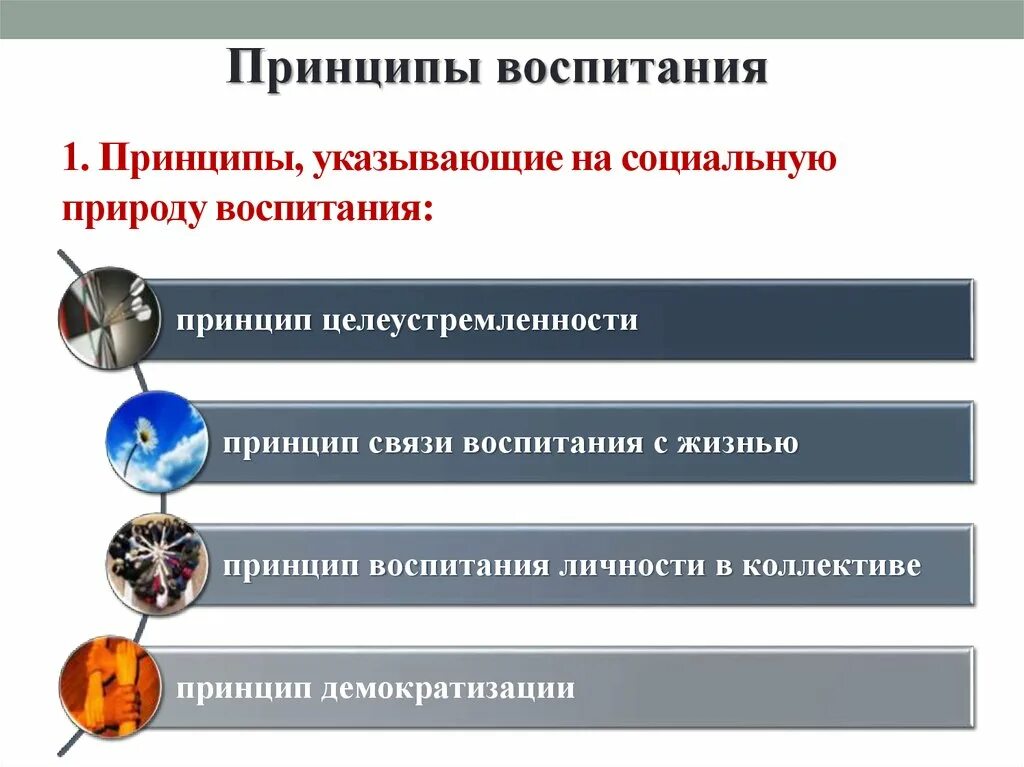 Принципы воспитания связь воспитания с жизнью. Идея связи воспитания с жизнью. Принцип связи воспитания с жизнью предполагает. Принцип связи воспитания с жизнью и трудом:.