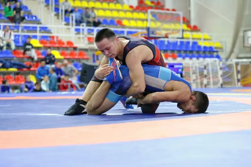 Борцы из хакасии. Вольная борьба хакасия. Дзюдо сорск. Борцы хакасии. Палтушев ильяс хакасия.