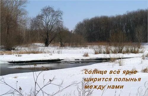 Полынья значение. Полынья весной. слово полынья. полынья это для детей. полынья викисловарь.