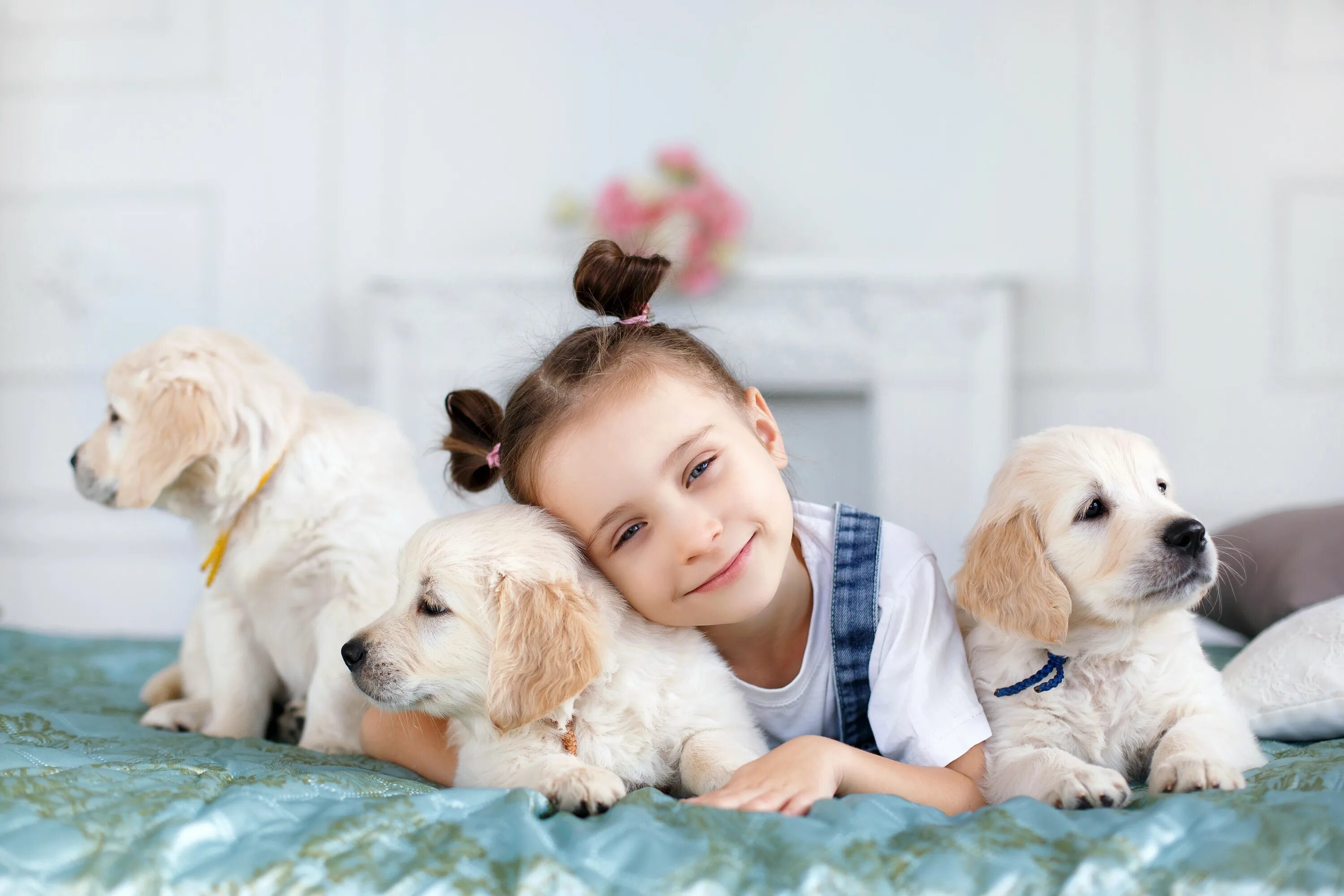 Puppy play. Puppy play