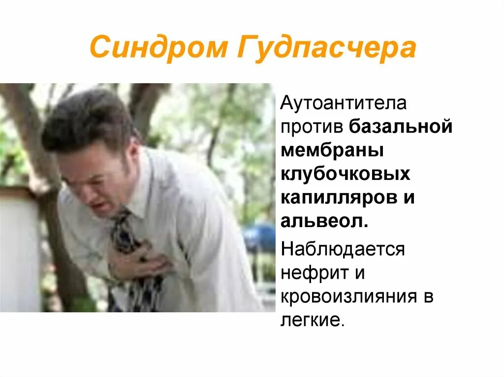 Синдром гудпасчера это. Синдром гудпасчера этиология. синдром гудпасчера рентгенограмма. синдром гудпасчера фото. синдром гудпасчера рентген.