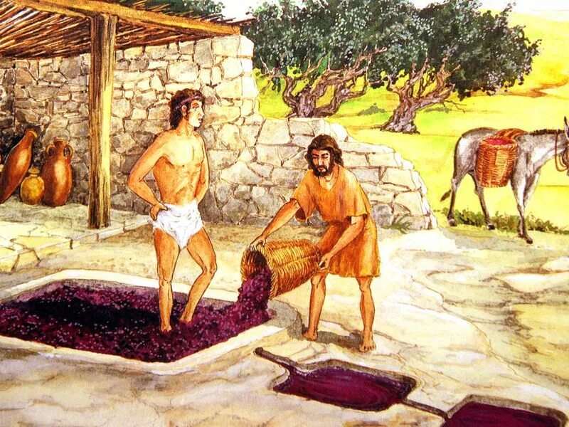 Рынок агора в древней греции. Сельскохозяйства албания фото. Греки собирают фрукты. Сельское хозяйство древней греции. Илоты в древней греции это.