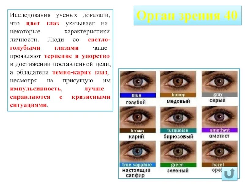 Цвета глаз у человека. Цвет глаз описание. Характер человека по цвету глаз. Характеристика цвета гла.