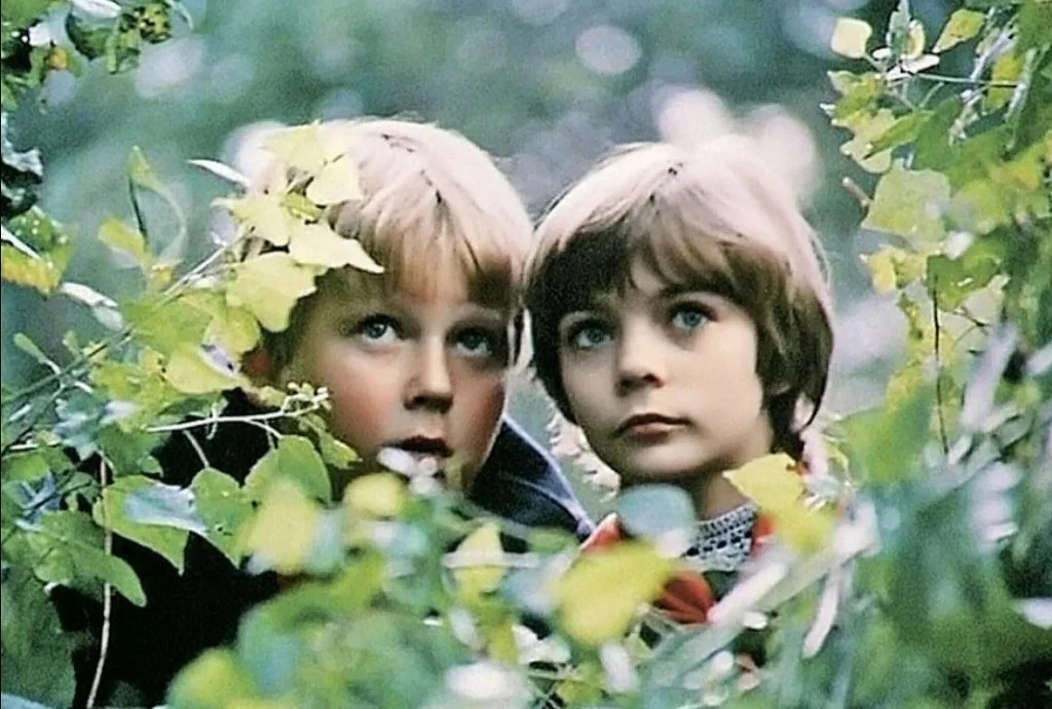Экранизация для детей. Экранизация для детей. Приключения маши и вити 1975. Экранизация для детей. Экранизация для детей.