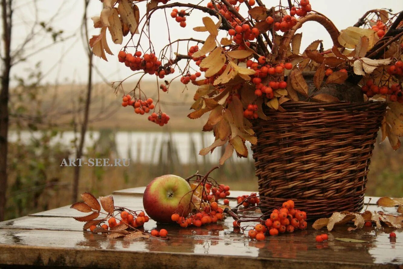 Добрый день ноября картинки. Осеннее настроение ноябрь. Здравствуй осень. Яблоки и рябина осенью. Здравствуй осень октябрь.