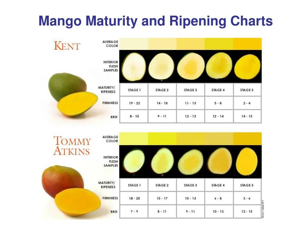 Вес 1 лимона. Манго размер. Размер манго фрукт. Желтое манго Размеры. Размер манго размер.