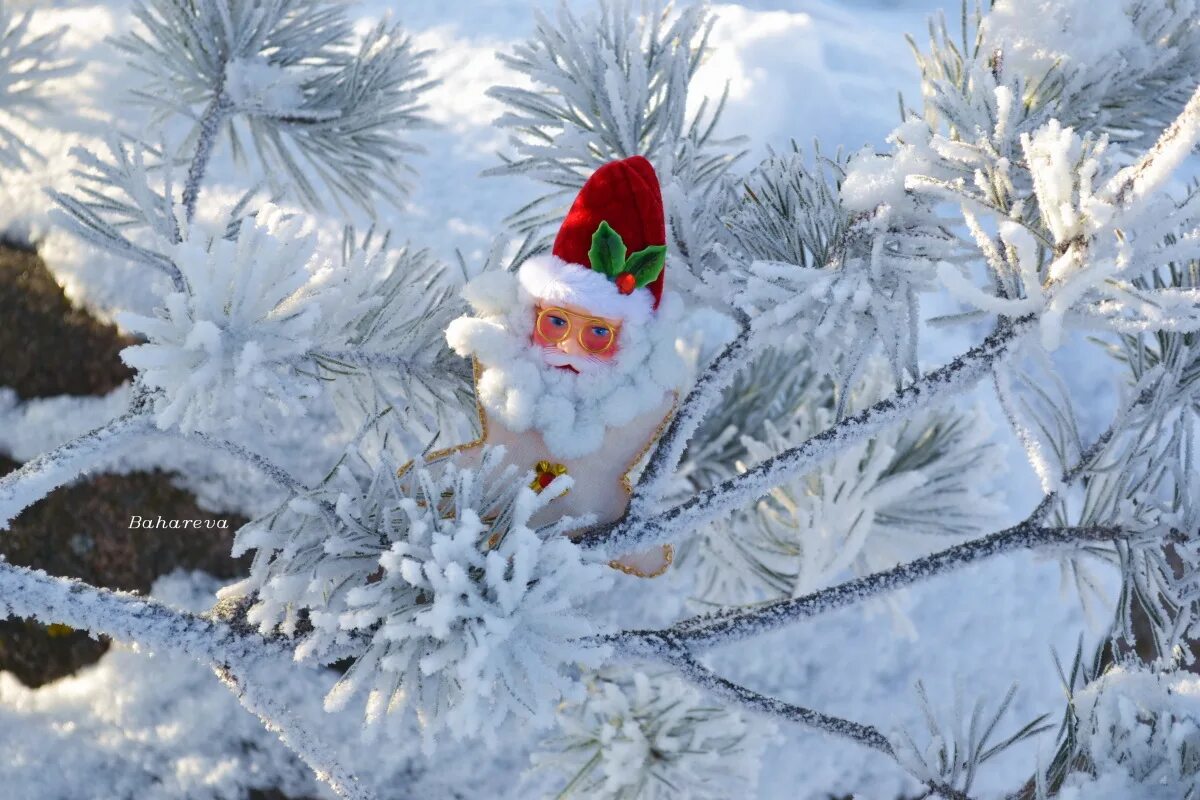 Чудеса зимушки зимы. Чудеса зимы картинки. Зимнее чудо для зимнего лорда. Зимний ангел. Зимний пейзаж креативно.