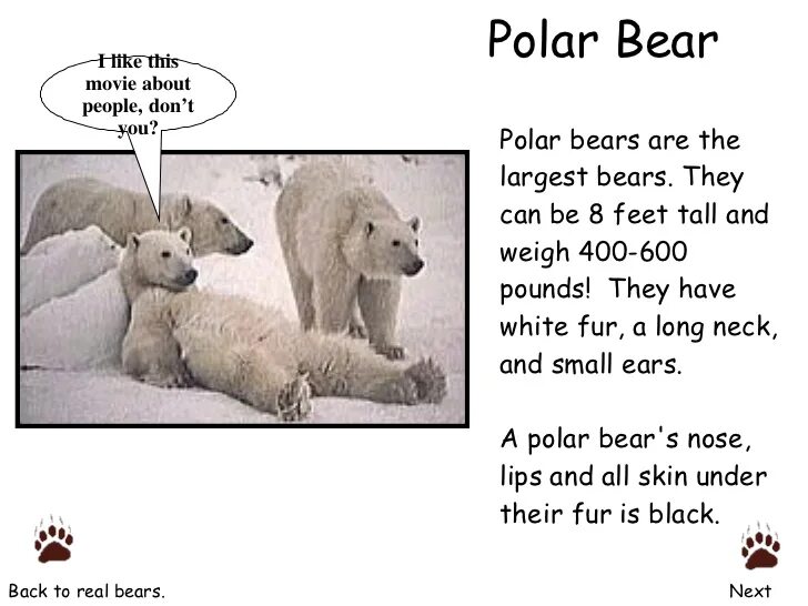 Polar Bear poem. Английский текст Polar Bear. О Полярном медведе на английском языке. Poem about Bear for Kids. Мишка перевести на английский