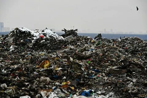Проблемы подмосковья