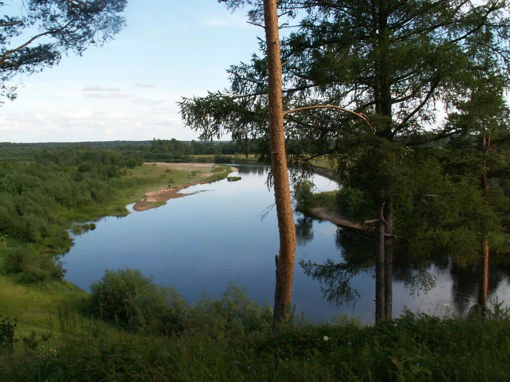 Приток ваги. Река Кулой Архангельской области. Река Кулой Вологодская область. Река Вага Архангельской области. Река Вологодской области приток Северной Двины.