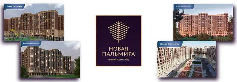 Новая пальмира мегаполис. Мегаполис махачкала жк пальмира. Улица гапцахская 8. Мегаполис махачкала пальмира. Мегаполис групп махачкала.