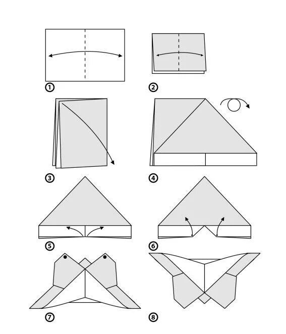 step by step instructions how to make origami A Butterfly. Векторный объект Stoc
