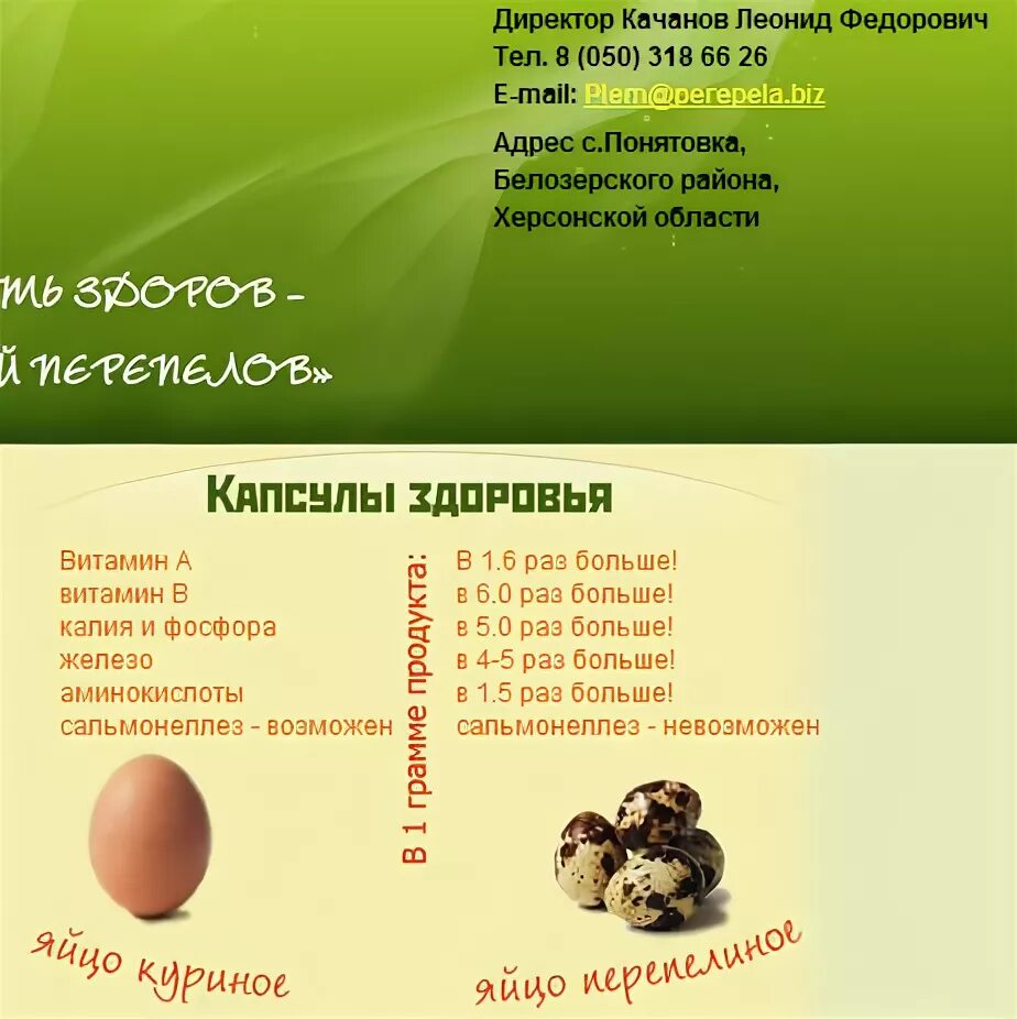 В год сколько дают яйца. Perepelinnyye yaetsa. Витамины в перепелиных яйцах. Сколькоьперепелиных яиц. Перепелиные яйца состав.