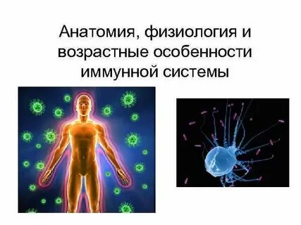 Иммунные свойства организма