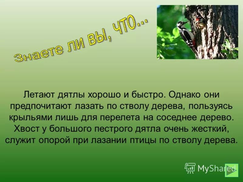 От каких условий зависит выбор букв в окончаниях. Корни дерева служат ему. Ствол дерева. Ствол дерева служит ему две службы он. Корни прикрепляют дерево к земле они.