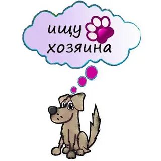 Ищу хозяина