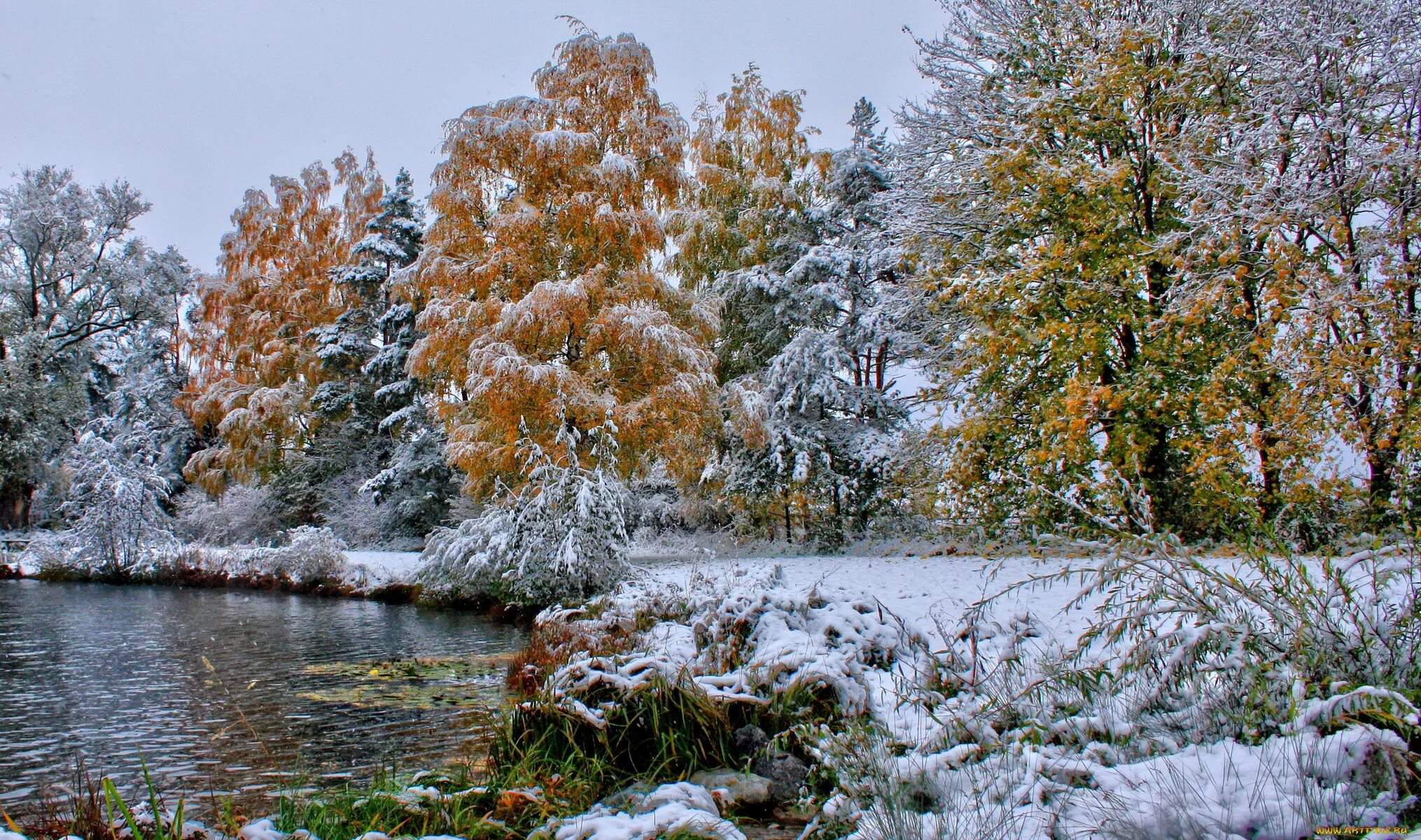 Вся природа чувствует приближение зимы. Ранняя зима. природа ранняя зима. ноябрь природа. поздняя осень.