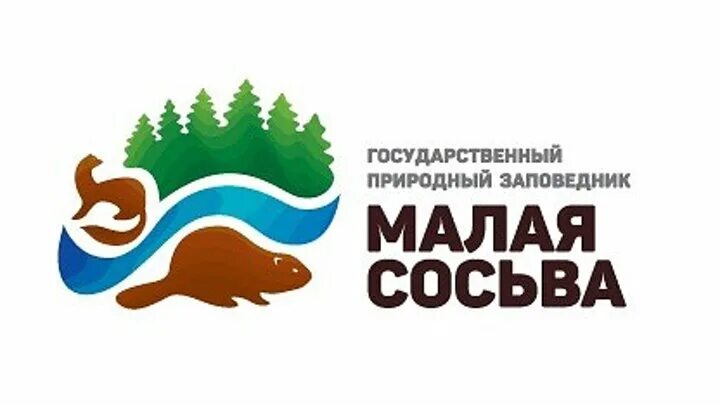 Заповедник малая сосьва в хмао-югре. Река малая сосьва. Логотип малая сосьва. Заповедник малая сосьва в хмао-югре на карте. Заповедники хмао малая сосьва.