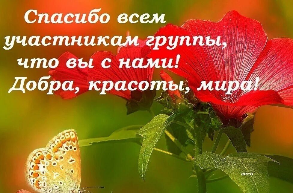Это останется с нами. Жить трудно но надо. Рядом с нами те кого мы заслужили. Цените цитаты. Уехать цитаты.
