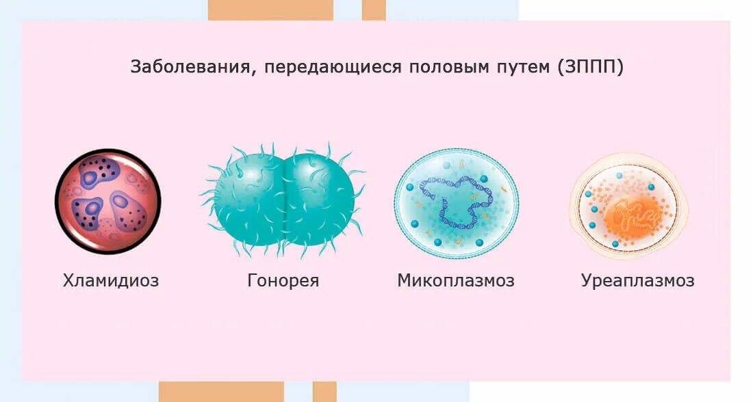 Иппп микоплазма