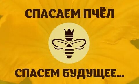 Сохраним пчел