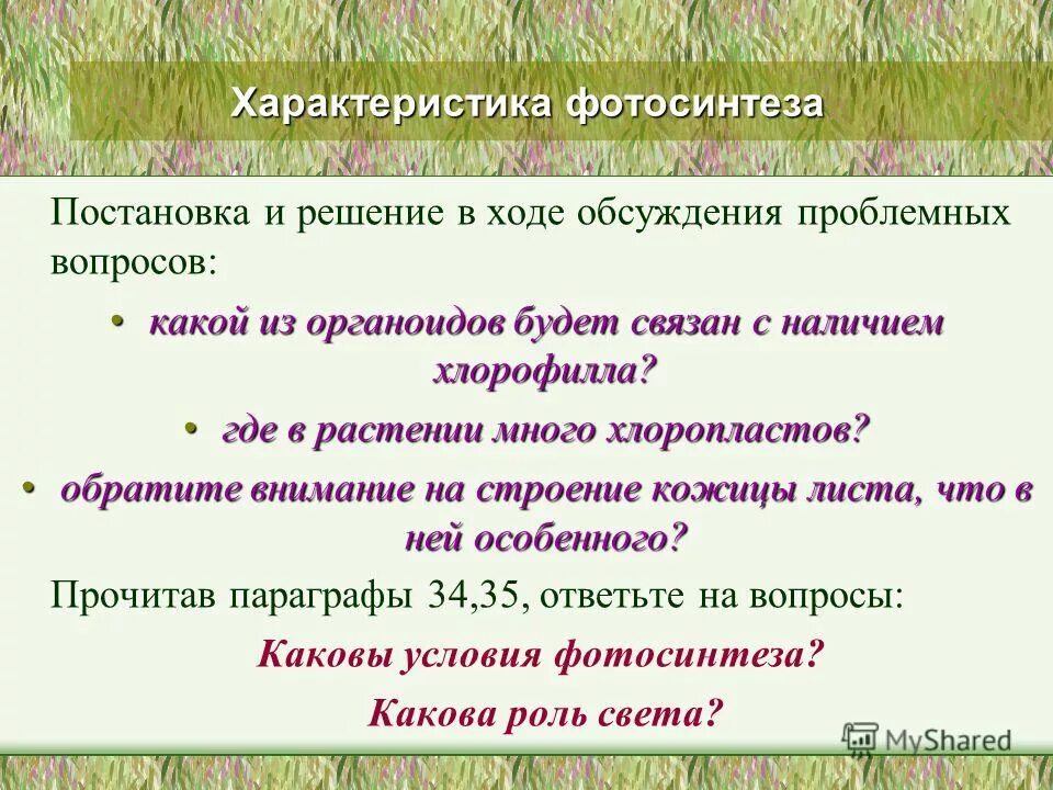 Хлорофилл хим строение. Роль пигментов в процессе фотосинтеза. Какова роль пигментов в процессе фотосинтеза. Хлорофилл формула у растений. Функции хлорофилла.