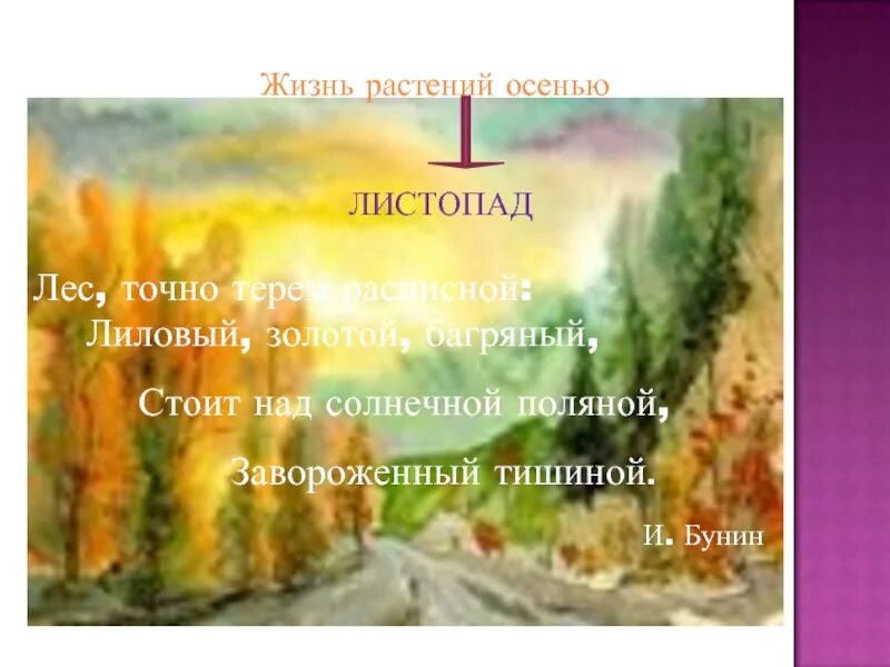 Предложения на тему осенний листопад. Предложение на тему листопад. Предложение на тему листопад для 2 класса. Листопад окружающий мир 2 класс. Осенний листопад предложения