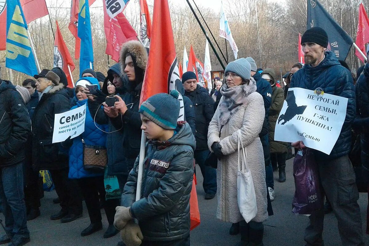 Закон о бытовом насилии в россии. Митинг против закона о домашнем насилии. Митинг о законе о домашнем насилии. Митинг за закон о домашнем насилии. Протесты против домашнего насилия.