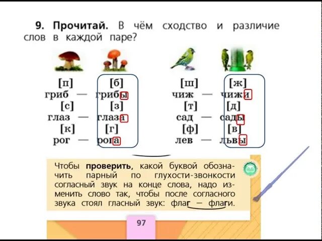 Звонки и глухие в конце слова. Парные согласные 1 класс. Слова с парными по глухости-звонкости согласными звуками. Парные по звонкости-глухости согласные в конце слова. Парные согласные на конце слова 1 класс.