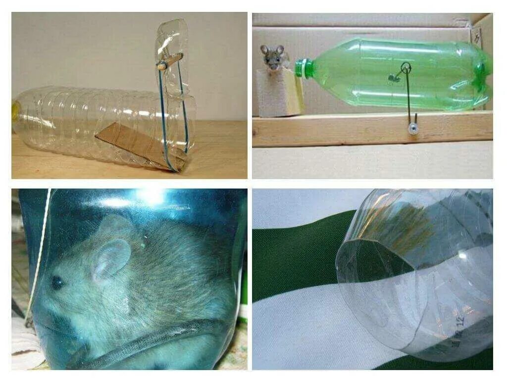 Мышь бутылка