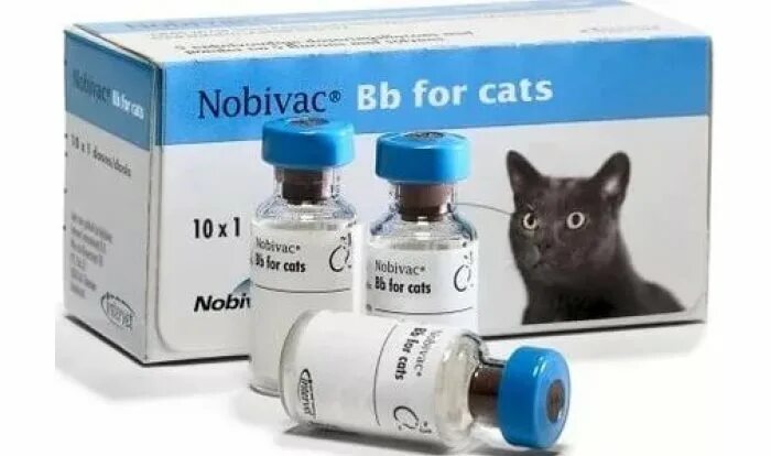 Производители вакцин для кошек. Нобивак трикет для кошек. Вакцина Nobivac Tricat + Rabies. Нобивак трикет трио для кошек. Вакцина кошек Нобивак производитель.