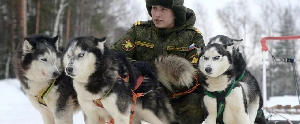 Блоггер хаски луганск. Хаски бандит. Прямой эфир блогера хаски нарезки. Хаски рейд. Хаски рейд.