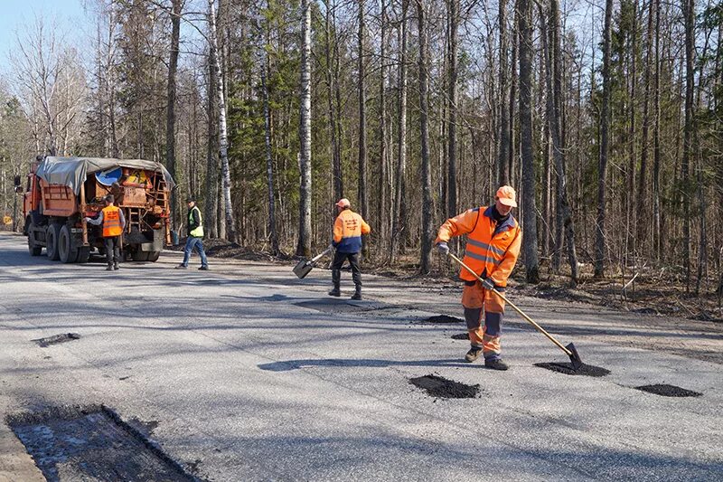Медведевский филиал марий эл дорстрой. Мещеряков марий эл дорстрой. Руководитель марий эл дорстрой. Марий эл дорстрой директор. Марий дорстрой.