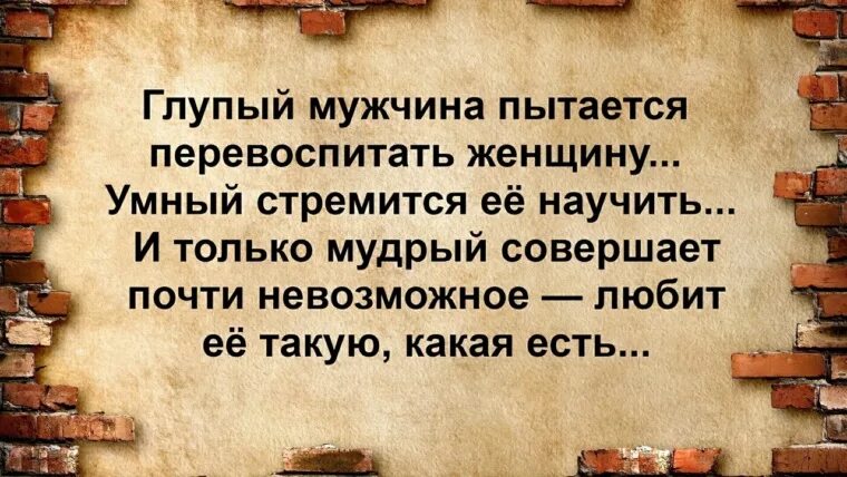 Глупый семь. Глупая женщина пытается перевоспитать мужчину умная стремится. Глупый мужчина пытается перевоспитать женщину умный. Мужчина который пытается перевоспитать женщину. Глупый мужчина пытается перевоспитать женщину.