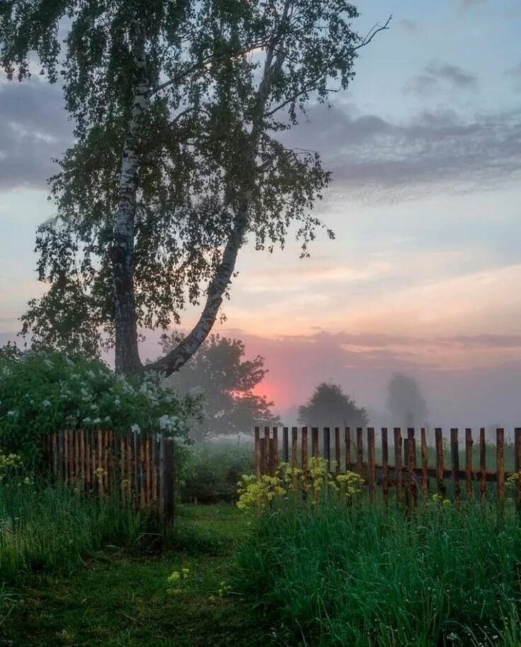 Пахнет летним вечером. Утро в деревне. Деревенский пейзаж. Лето в деревне. Рассвет в деревне.