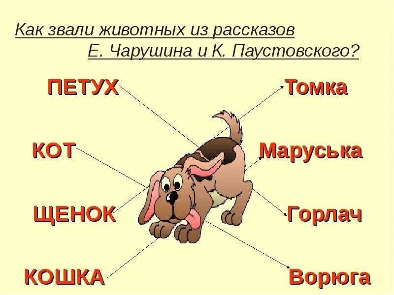 Изложение томик животных героев